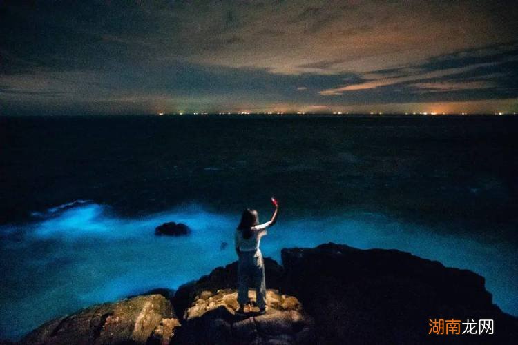 荧光海一般在几月份有 厦门荧光海滩是怎么形成的