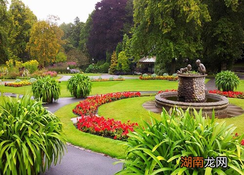 花园草坪用什么草种好看好养