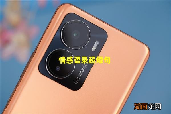 情感语录超短句