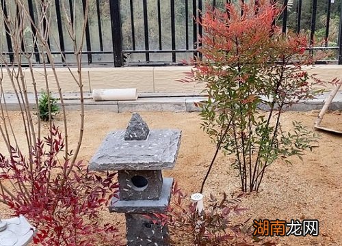 冬季南天竹耐寒的最低温度 南天竹耐寒多少度