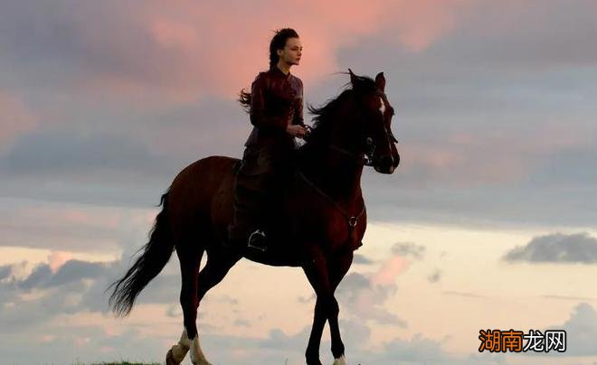 情感故事文案500字左右情感挽回哪家好