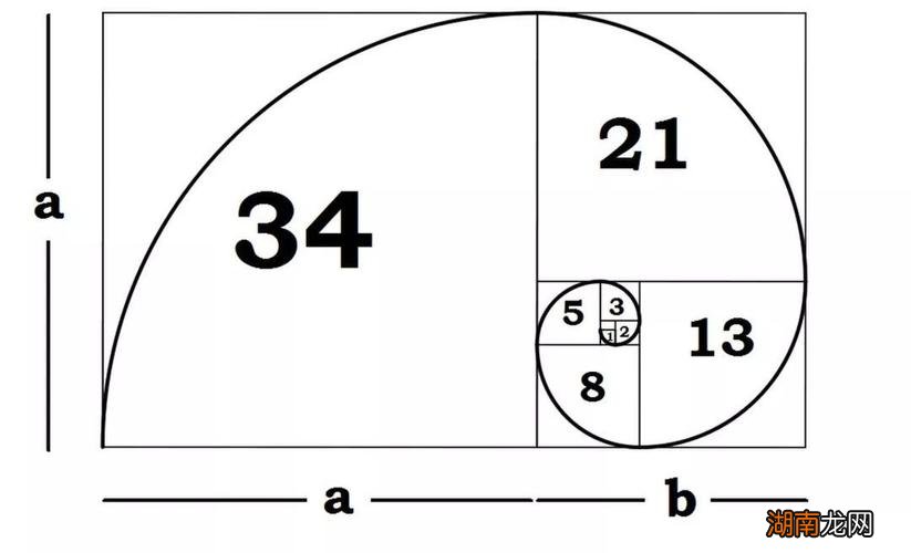 黄金比例是多少几比几