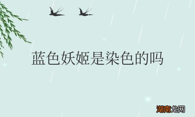 蓝色妖姬花语是啥意思 蓝色妖姬是染色的吗