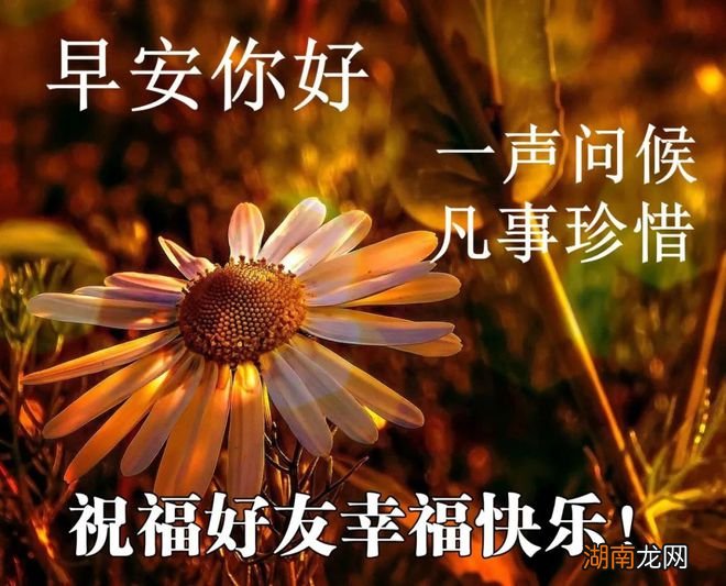 情感语录文案500字左右