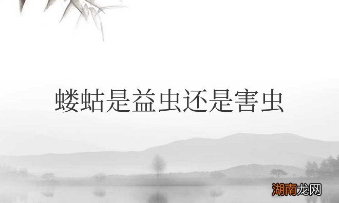 蝼蛄是益虫还是害虫