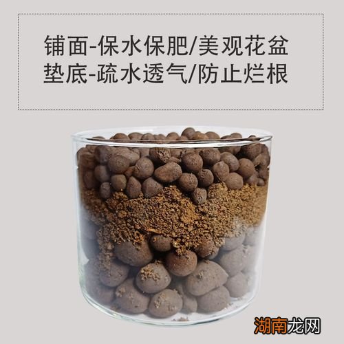 花盆上面铺陶粒好不好?会不会不透气?