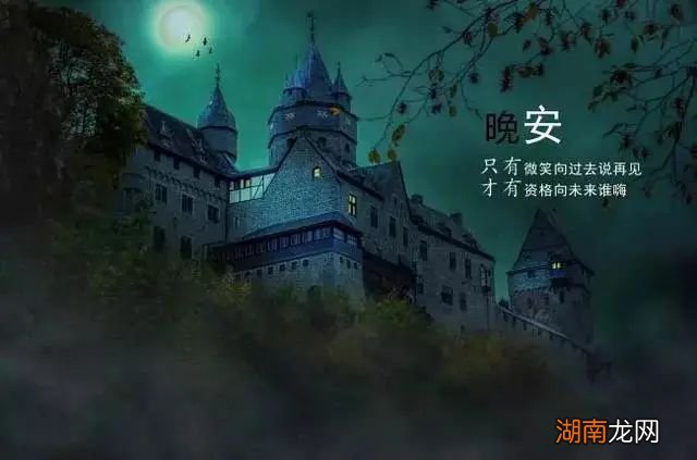 威幂情感百科全书治愈情感故事长篇