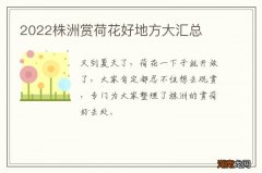 2022株洲赏荷花好地方大汇总