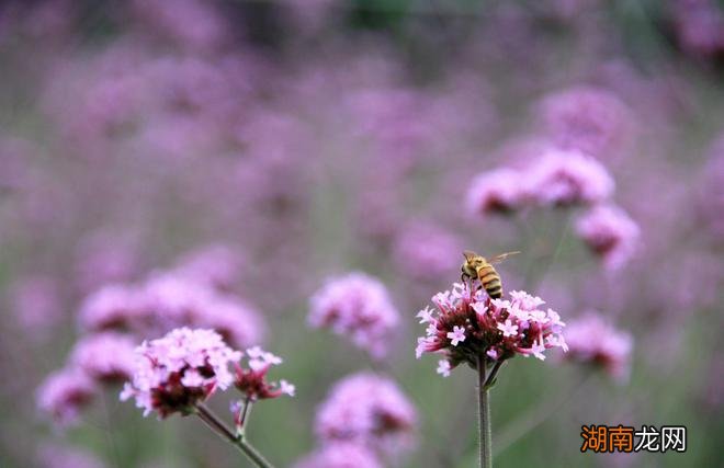 深夜情感语录情感图片高清大图无水印