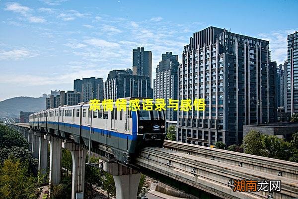 亲情情感语录与感悟