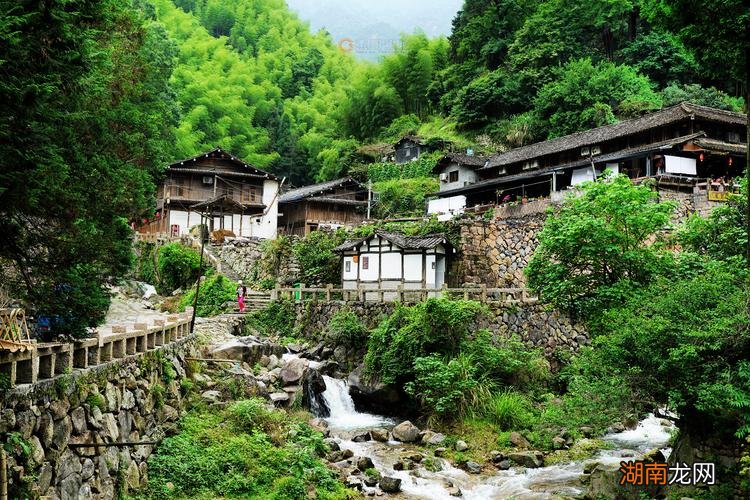 深山坞的意思解释一下