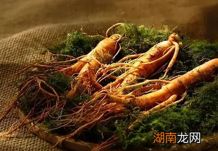 清朝官员口含块人参就上朝 他们为什么不吃早餐