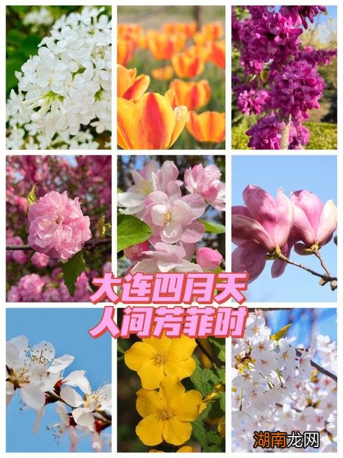 阳历四月是什么春？是春天还是夏天？