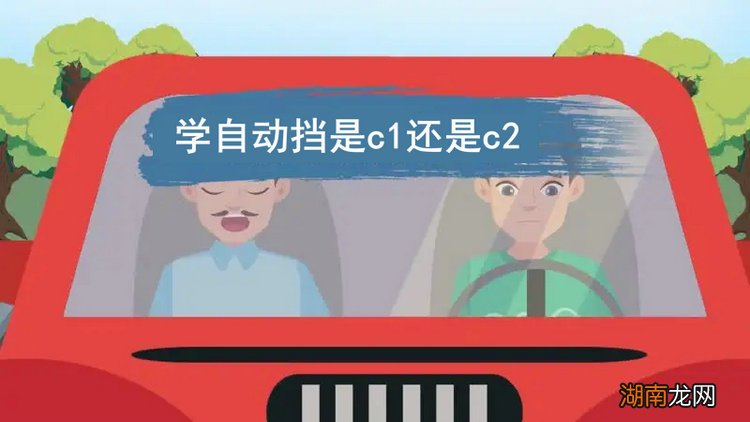 学自动挡是C1还是C2