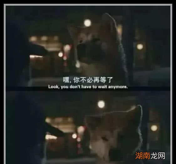 情感语录 长篇情感语录图片带字扎心