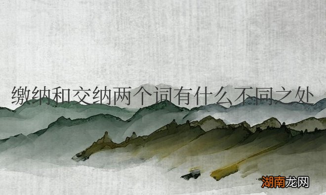 缴纳和交纳两个词有什么不同之处