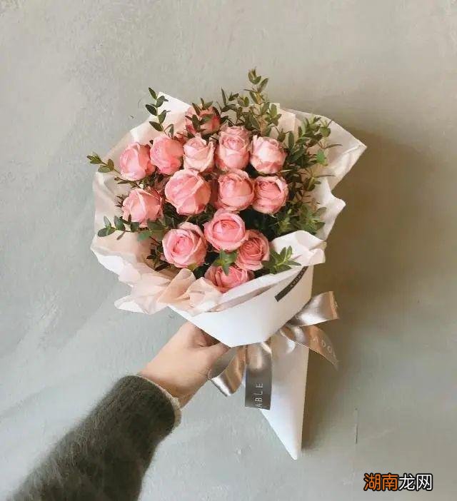 情感语录经典语录暖心长篇情感语录文案短句素材大全