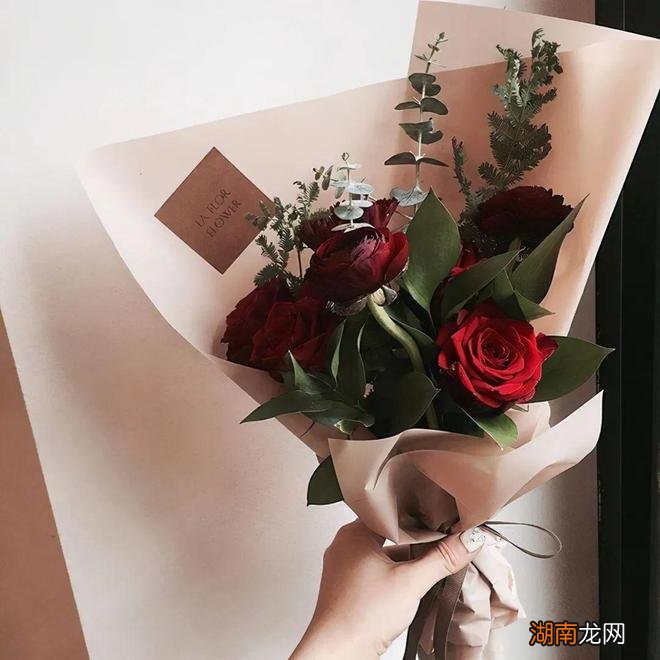 情感语录经典语录暖心长篇情感语录文案短句素材大全