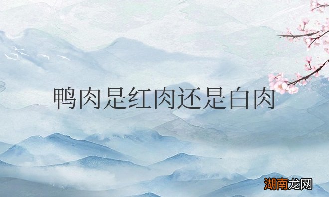 红肉和白肉哪个更健康 鸭肉是红肉还是白肉