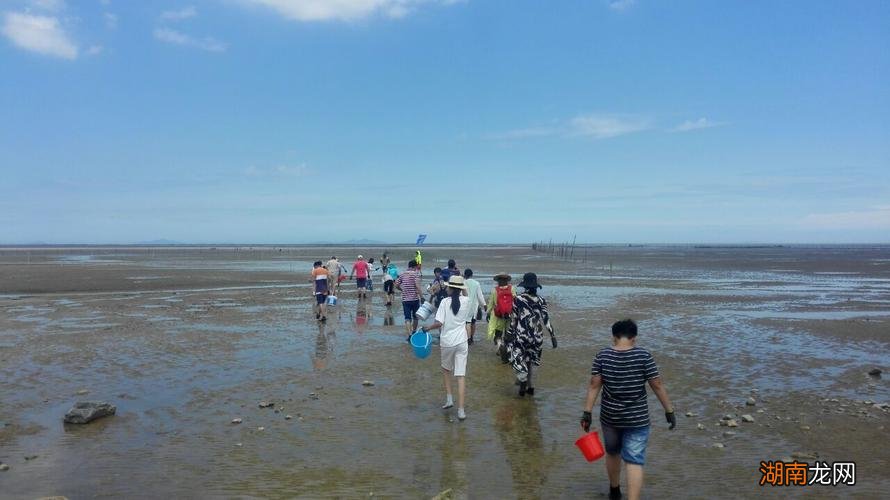 适合带孩子免费赶海的地方 宁波赶海的好地方在哪里