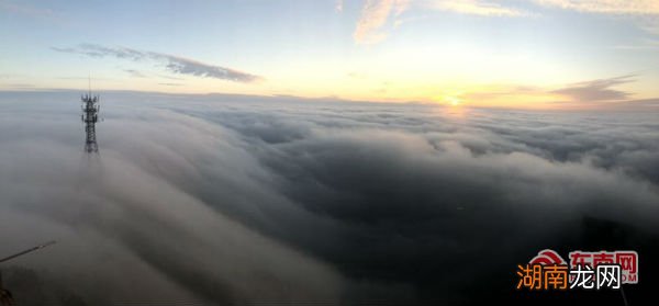 情感故事长篇文本