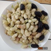 桑葚上的白色绒毛是虫吗？能吃吗？