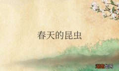 春天的昆虫有哪些品种