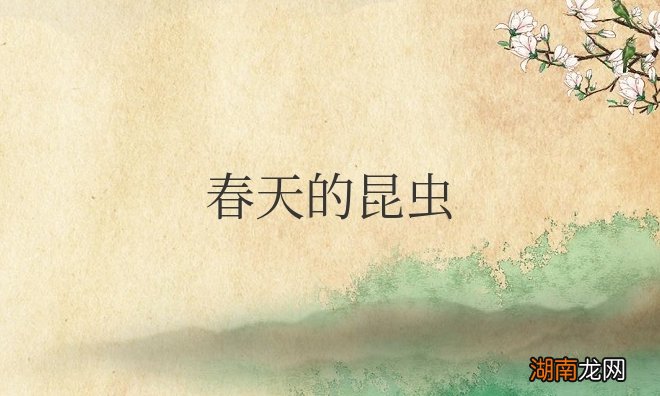 春天的昆虫有哪些品种