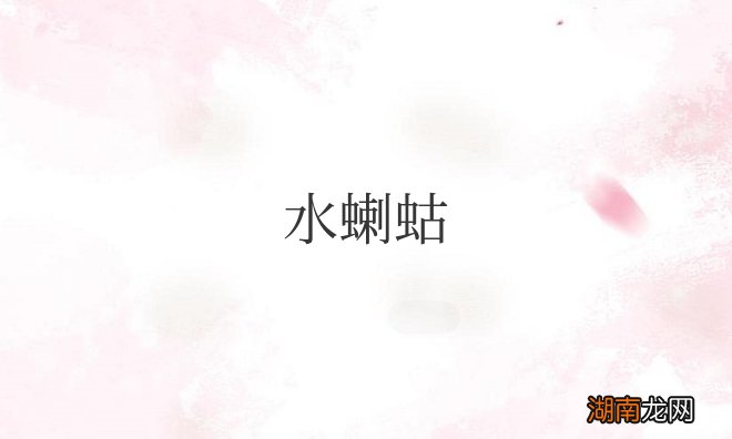 喇蛄和小龙虾什么区别