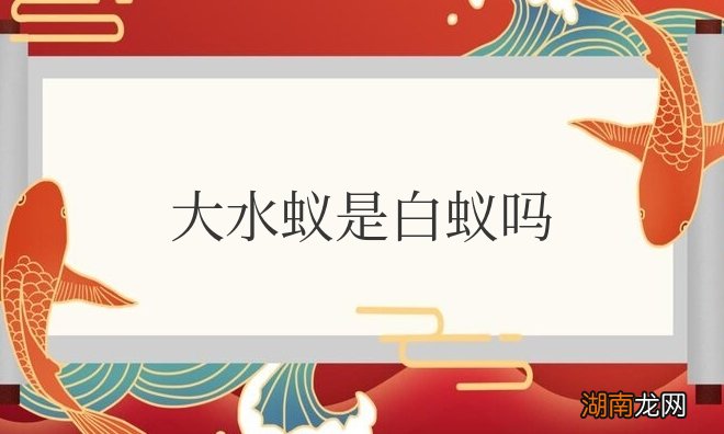 大水蚁是白蚁吗?为什么趋光性强?