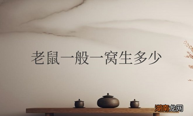 老鼠一般一窝生多少个仔