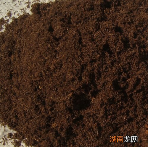 泥炭土适合种什么花草