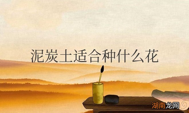 泥炭土适合种什么花草