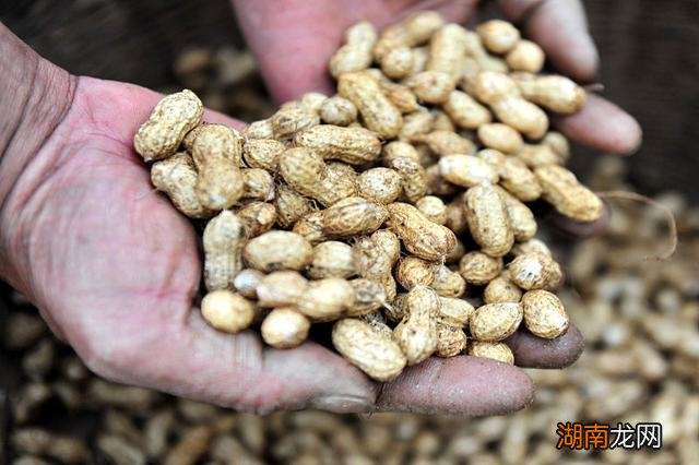 花生壳发酵最快的方法 花生壳怎么发酵做营养土