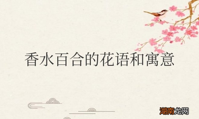 香水百合的花语和寓意和象征意义