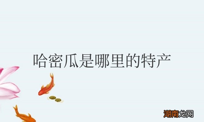 哈密瓜是哪里的特产水果