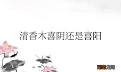 清香木喜阴还是喜阳的植物