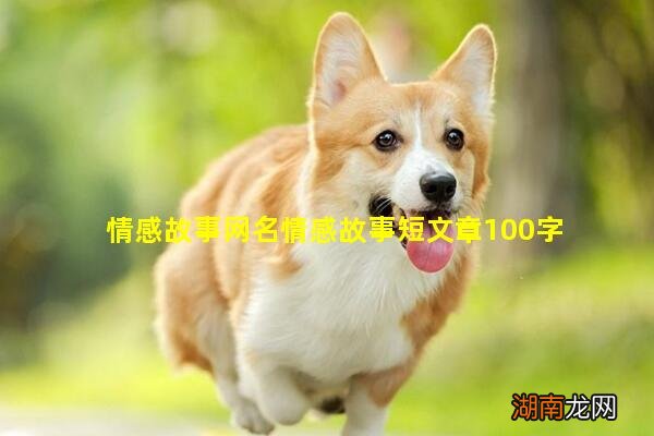 情感故事网名情感故事短文章100字