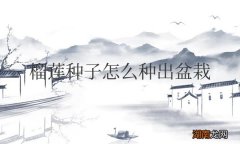 家里榴莲盆栽能结果吗 榴莲种子怎么种出盆栽发芽