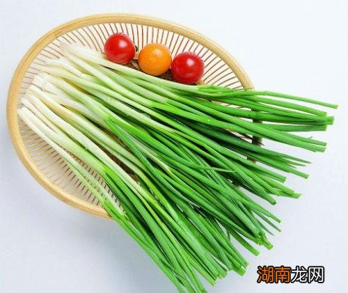 葱白是大葱还是小葱