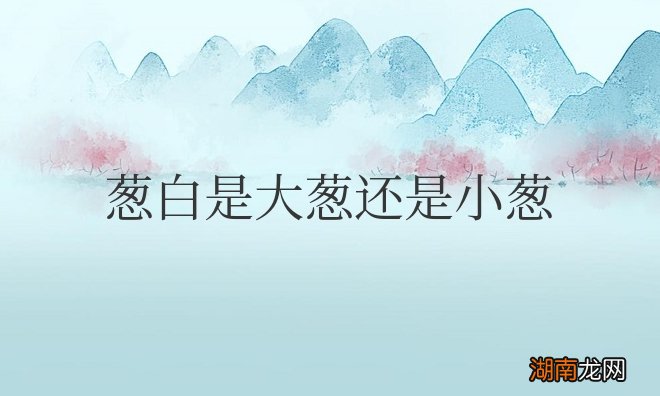 葱白是大葱还是小葱