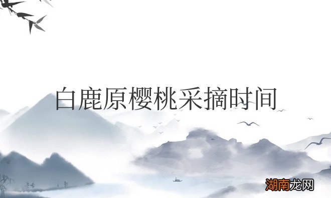 白鹿原樱桃采摘时间是几月