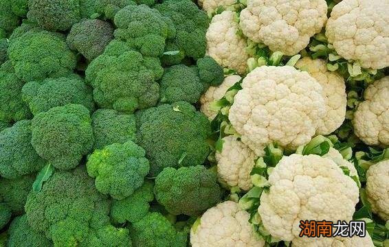 西兰花和花菜的区别在哪里？营养一样吗？
