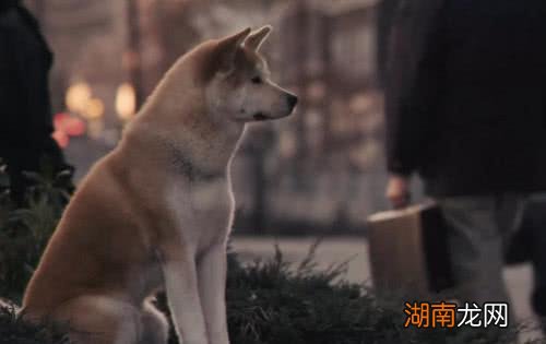 难却歌词表达的情感是什么意思情感故事电台文本稿子