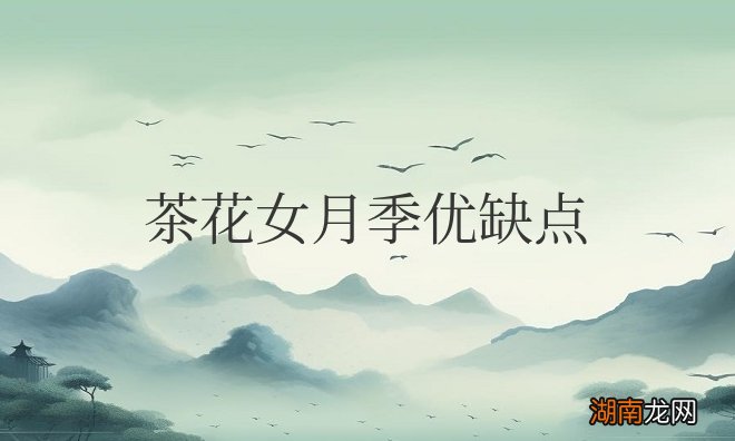 茶花女月季优缺点和优点有哪些
