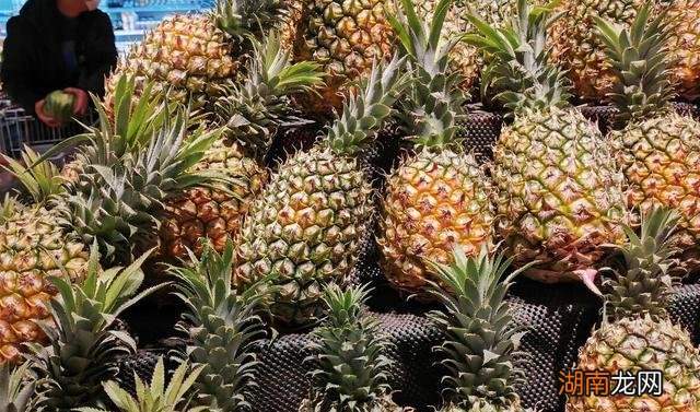 菠萝成熟上市的时间 菠萝几月份是应季水果