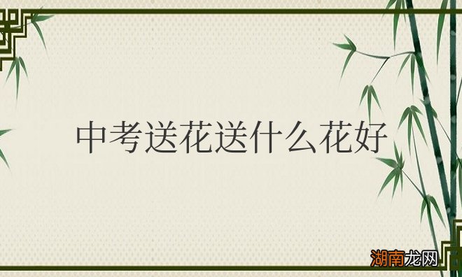中考送花送什么花好除向日葵