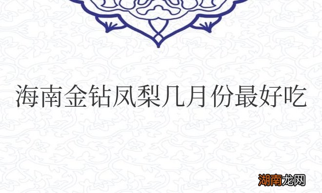 金钻凤梨什么时候应季 海南金钻凤梨几月份最好吃