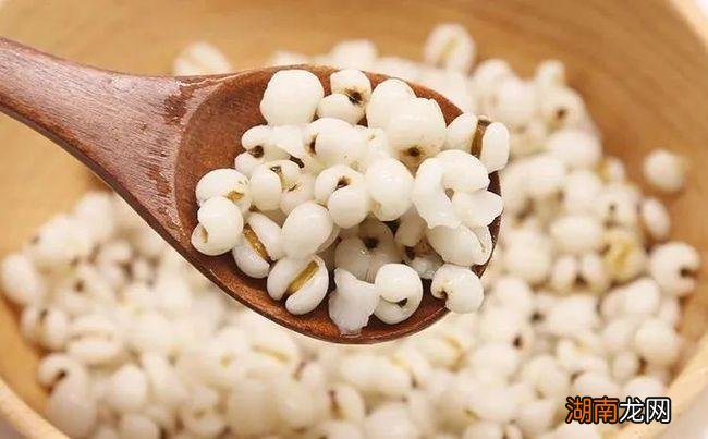 中国薏米的主要产地 薏米哪里产的最好吃最正宗