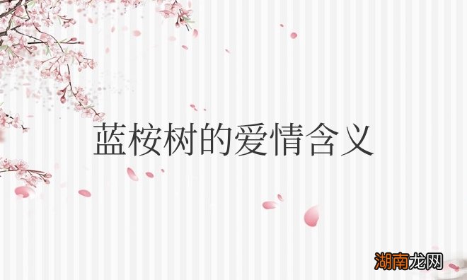 蓝桉树的爱情含义和象征寓意